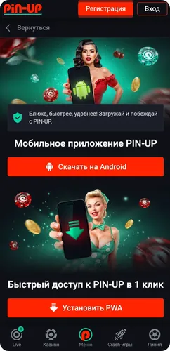Живые дилеры Pin Up