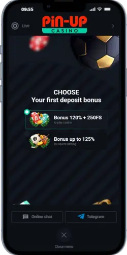 Pin Up bonus selection 120% + 250FS and sports bonus 125%