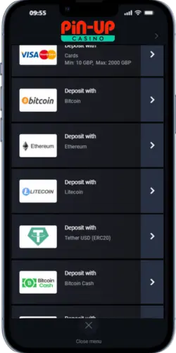 Pin Up deposit options Visa Bitcoin Ethereum Litecoin Tether