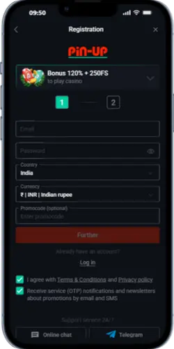 Pin Up registration form with email and country selection