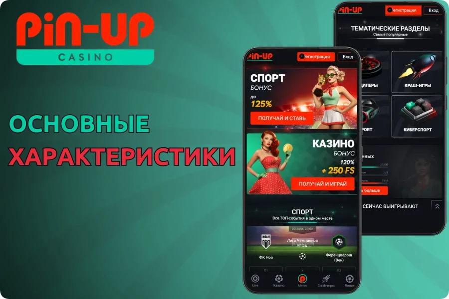 Информация об основных функциях Pin Up